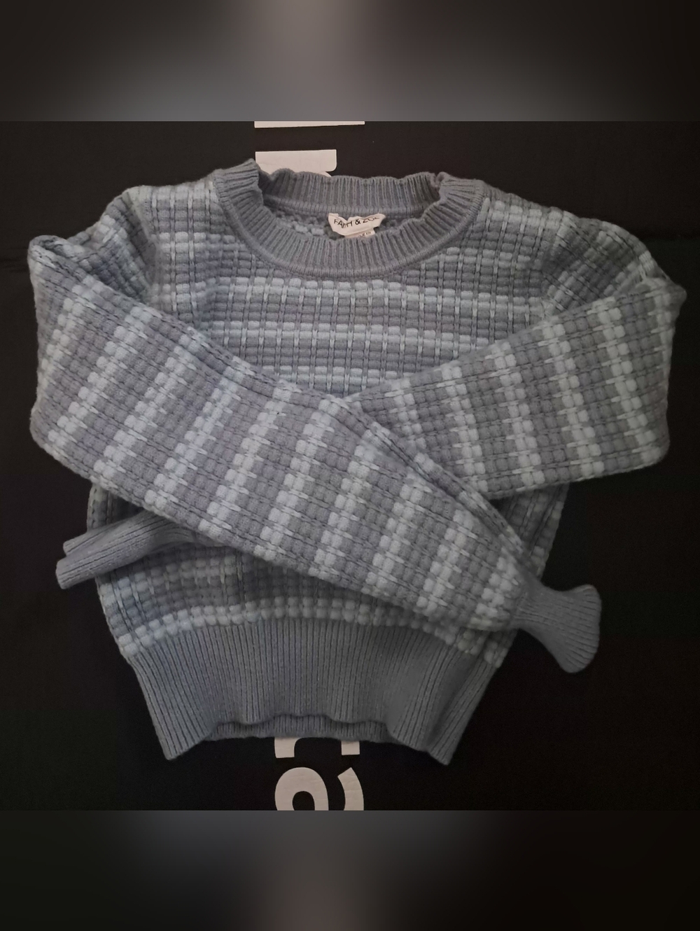 Light Blue Textured Knit Crewneck Sweater